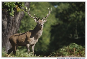 ParcRichmond-0122